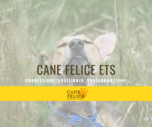 Cane Felice ETS Milano