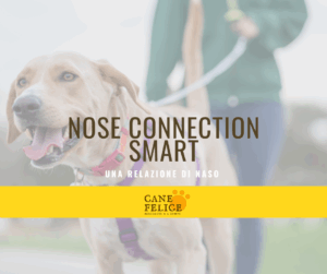 nose-connection-attivita-olfattiva-per-cani
