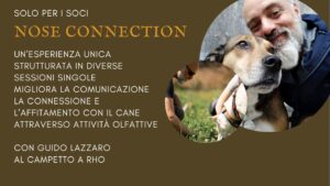 attività olfattiva cane Milano