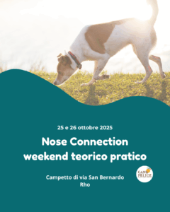 Nose Connection attività olfattiva per cane e proprietario