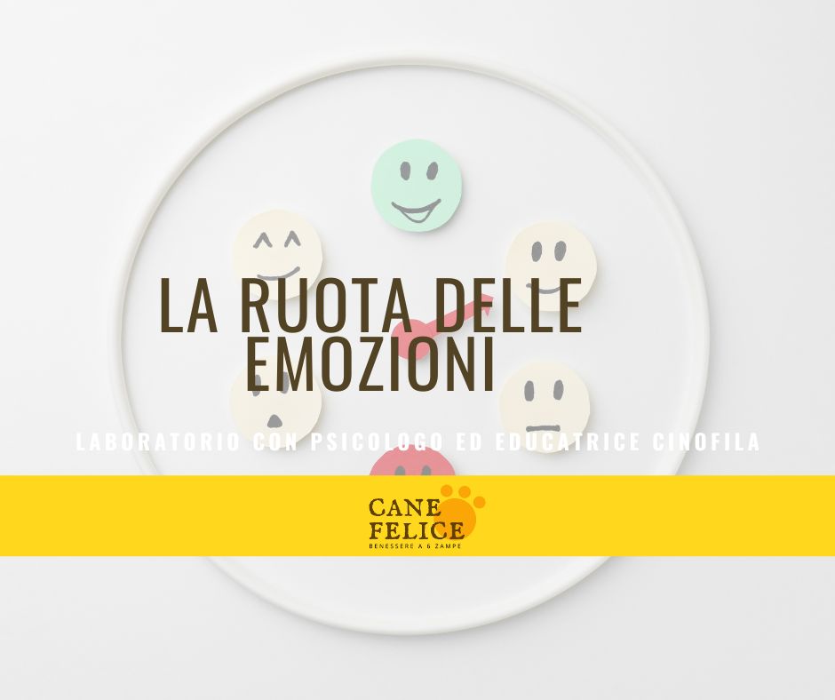 laboratorio la ruota delle emozioni per proprietari di cani