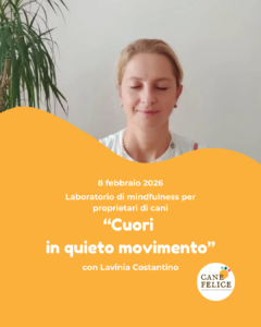 Mindfulness per proprietari di cani