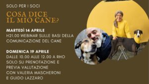 classi di socializzazione Milano