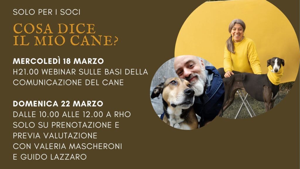 Cosa dice il mio cane