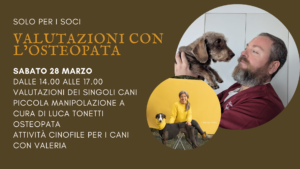 Il tocco che cura osteopatia canina