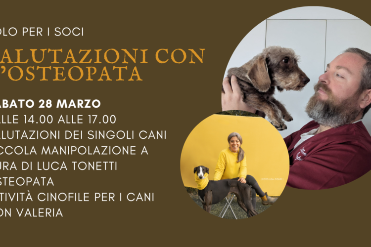 Il tocco che cura osteopatia canina