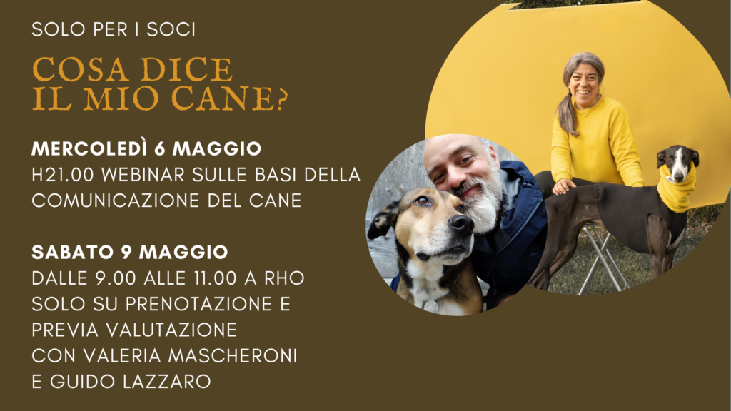 Classi di comunicazione per cani Milano