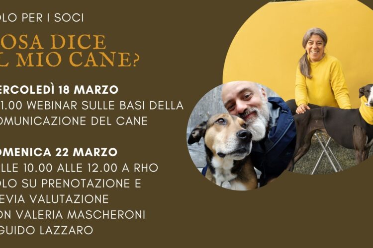 Cosa dice il mio cane