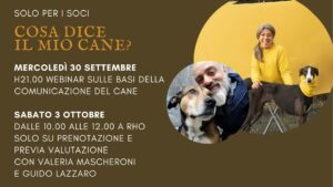 Classi di comunicazione tra cani Milano