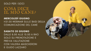 Classe comunicazione per cani a Milano