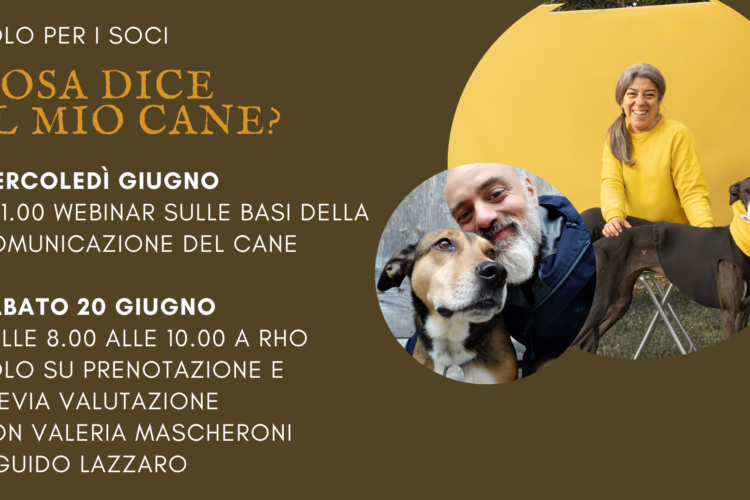 Classe comunicazione per cani a Milano