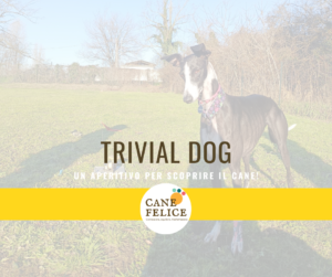 Trivial Dog a Milano