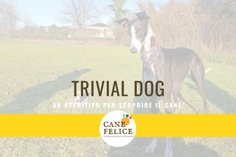 Trivial Dog a Milano